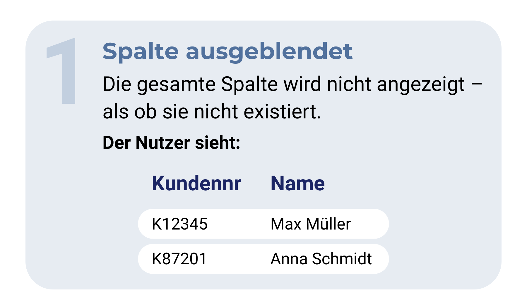 Anonymisierungsvariante 1: Spalte ausgeblendet